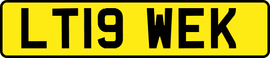 LT19WEK