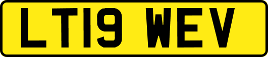 LT19WEV