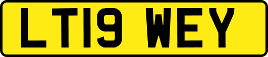 LT19WEY