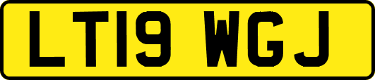 LT19WGJ