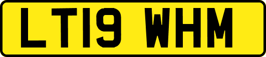 LT19WHM