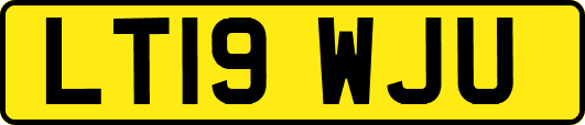 LT19WJU
