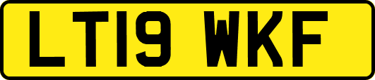 LT19WKF