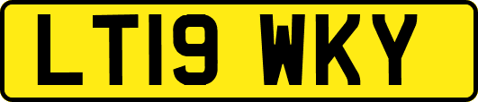 LT19WKY