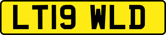 LT19WLD