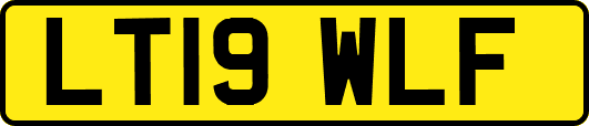 LT19WLF