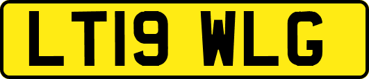 LT19WLG
