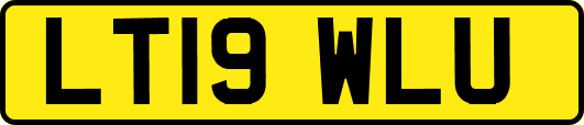 LT19WLU