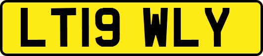 LT19WLY