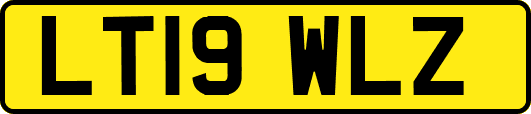 LT19WLZ