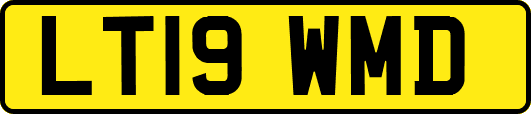 LT19WMD