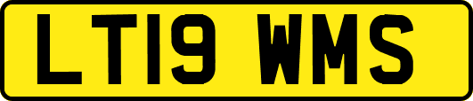 LT19WMS