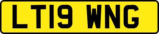 LT19WNG