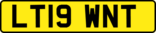 LT19WNT