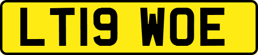 LT19WOE