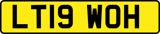 LT19WOH