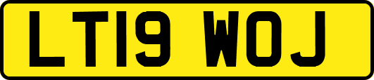 LT19WOJ
