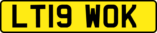 LT19WOK