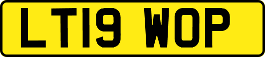 LT19WOP
