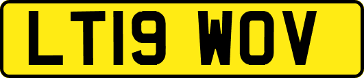 LT19WOV