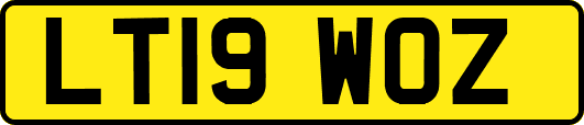 LT19WOZ
