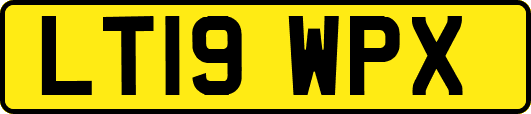 LT19WPX