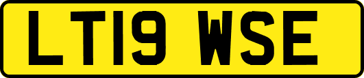 LT19WSE