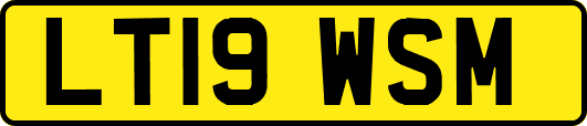 LT19WSM