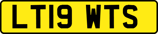 LT19WTS