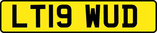 LT19WUD
