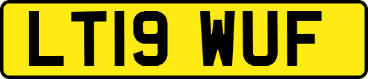 LT19WUF