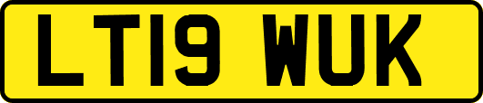 LT19WUK