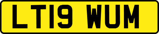LT19WUM