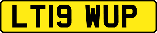 LT19WUP