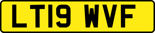 LT19WVF
