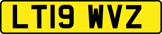LT19WVZ