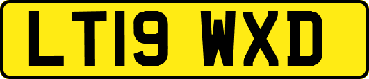 LT19WXD