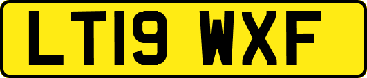 LT19WXF