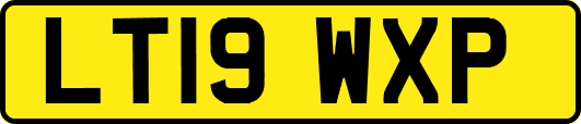 LT19WXP