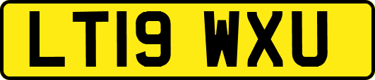 LT19WXU