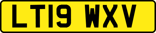 LT19WXV