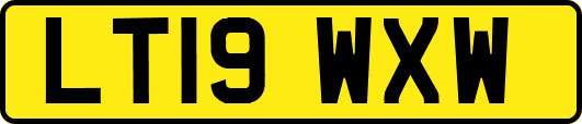 LT19WXW