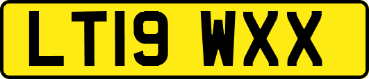 LT19WXX