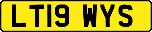 LT19WYS