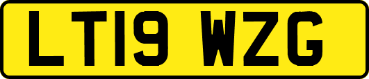LT19WZG