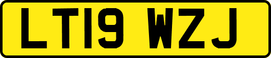 LT19WZJ