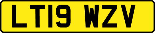 LT19WZV