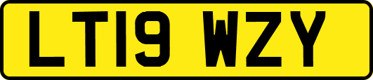 LT19WZY
