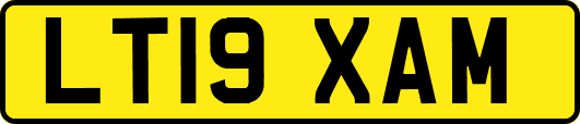 LT19XAM
