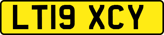 LT19XCY